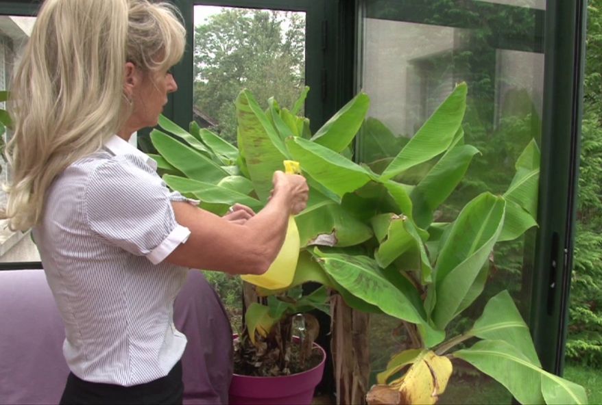 mère de famille à sodomiser