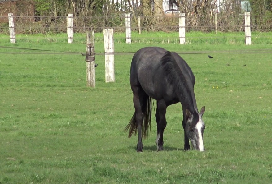 Jeune amatrice baise avec un mec pour la premiere fois !